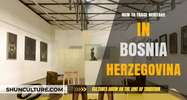 Tracing Your Roots: A Guide to Exploring Bosnian Heritage