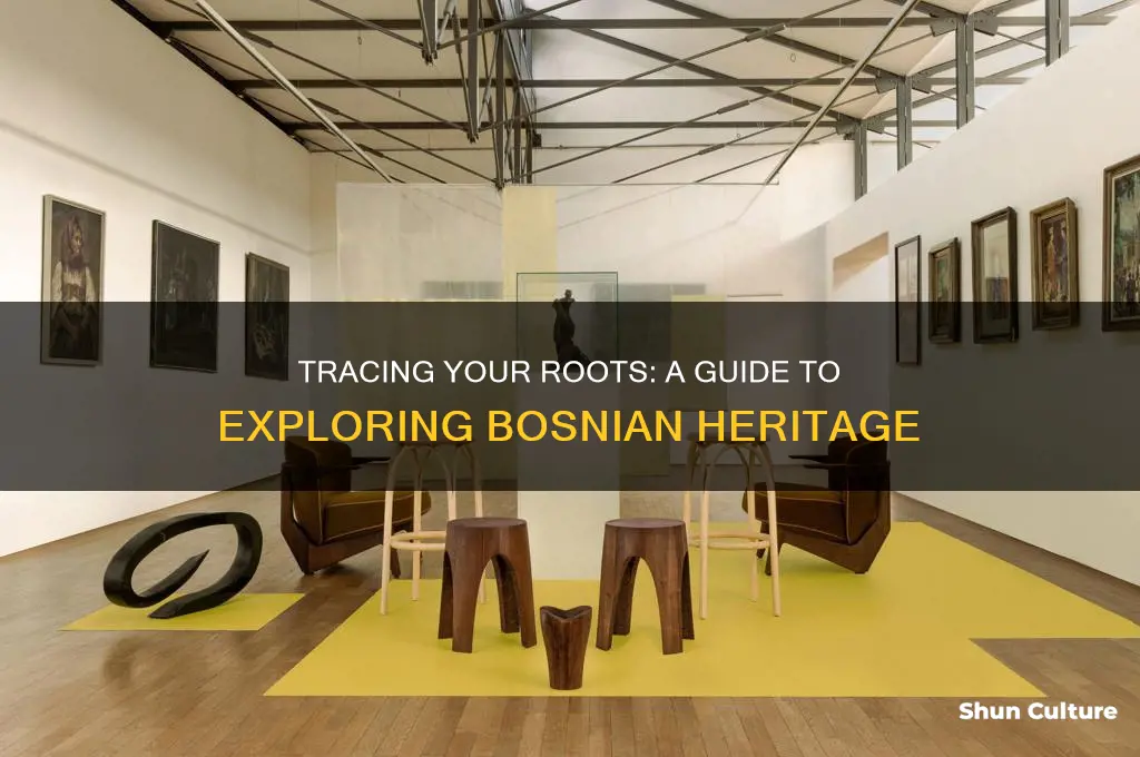 how to trace heritage in bosnia herzegovina