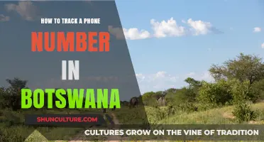 Track Phone Numbers in Botswana: A Comprehensive Guide for Locals