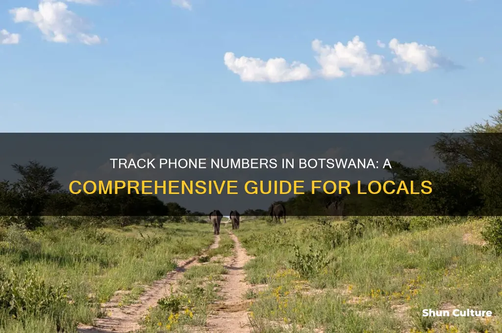 how to track a phone number in botswana