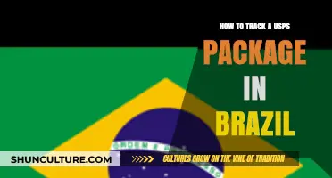 Track Your USPS Package in Brazil: A Step-by-Step Guide