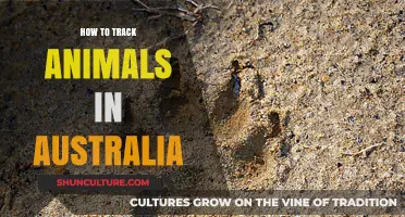 Tracking Australia's Wildlife: A Comprehensive Guide