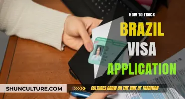 Track Your Brazil Visa Application: A Step-by-Step Guide