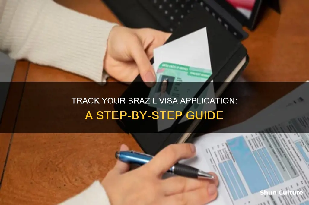 how to track brazil visa application