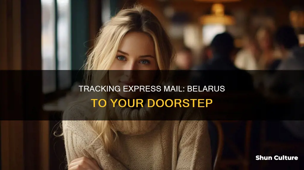 how to track express mail from belarus