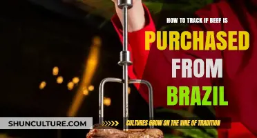 Trace Your Beef: Identifying Brazilian-Sourced Purchases with Ease