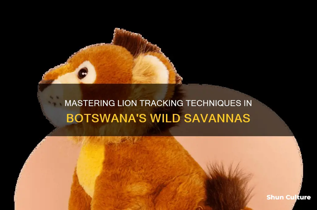how to track lions in botswana