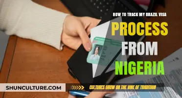 Track Your Brazil Visa Application from Nigeria: A Step-by-Step Guide