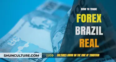 Mastering Forex Trading with the Brazilian Real: Strategies and Tips