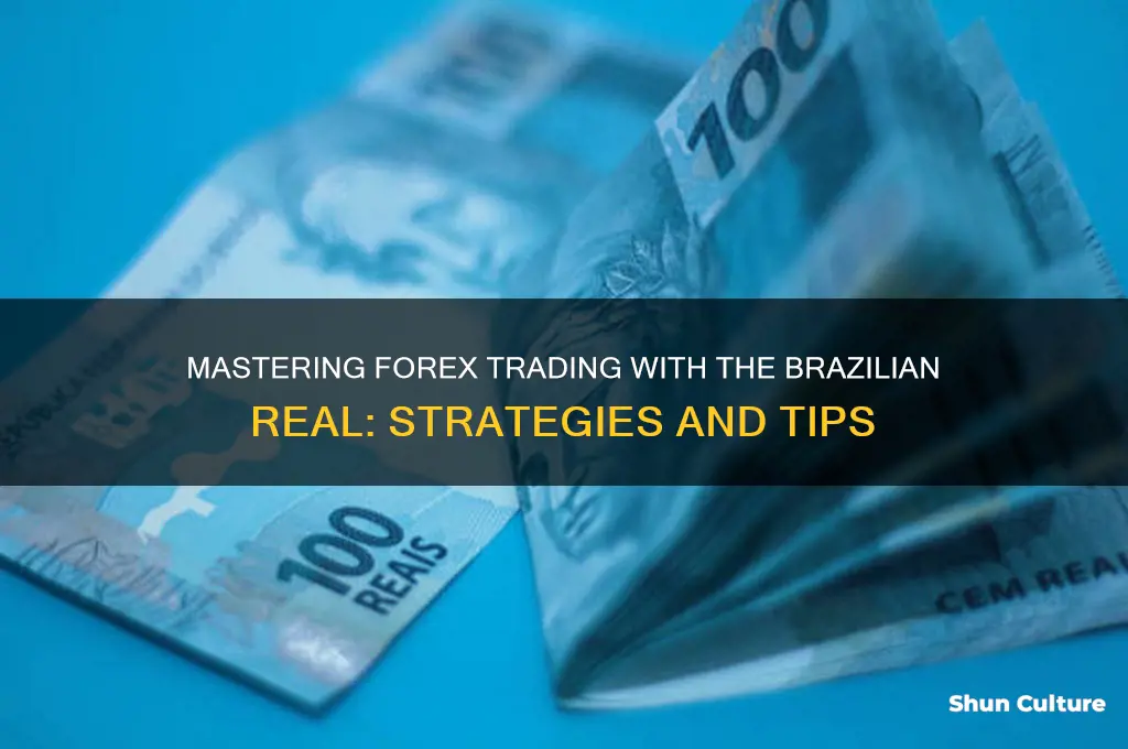 how to trade forex brazil real