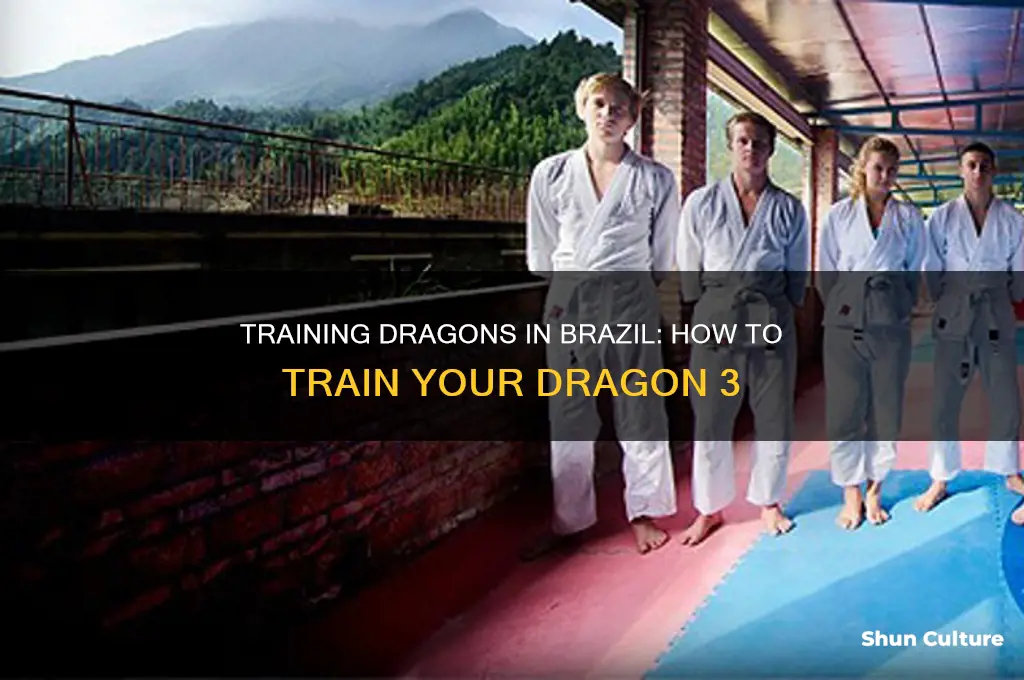 how to train your dragon 3 in brazil