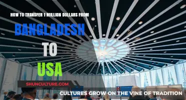 Transferring $1 Million from Bangladesh to USA: A Comprehensive Guide
