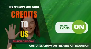 Transferring Brazilian College Credits to US Universities: A Comprehensive Guide