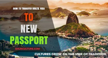 Transferring Your Brazil Visa to a New Passport: A Step-by-Step Guide