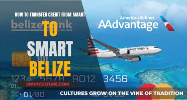 Transfer Credit from Smart to Smart Belize Easily