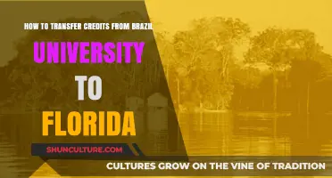 Transferring Brazilian University Credits to Florida: A Comprehensive Guide