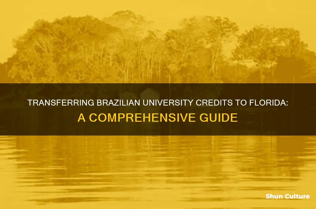 how to transfer credits from brazil university to florida