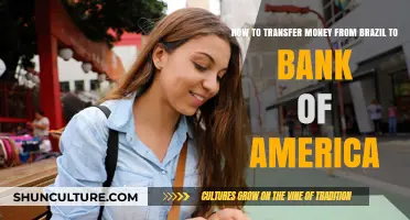 Transferring Money from Brazil to Bank of America: A Step-by-Step Guide