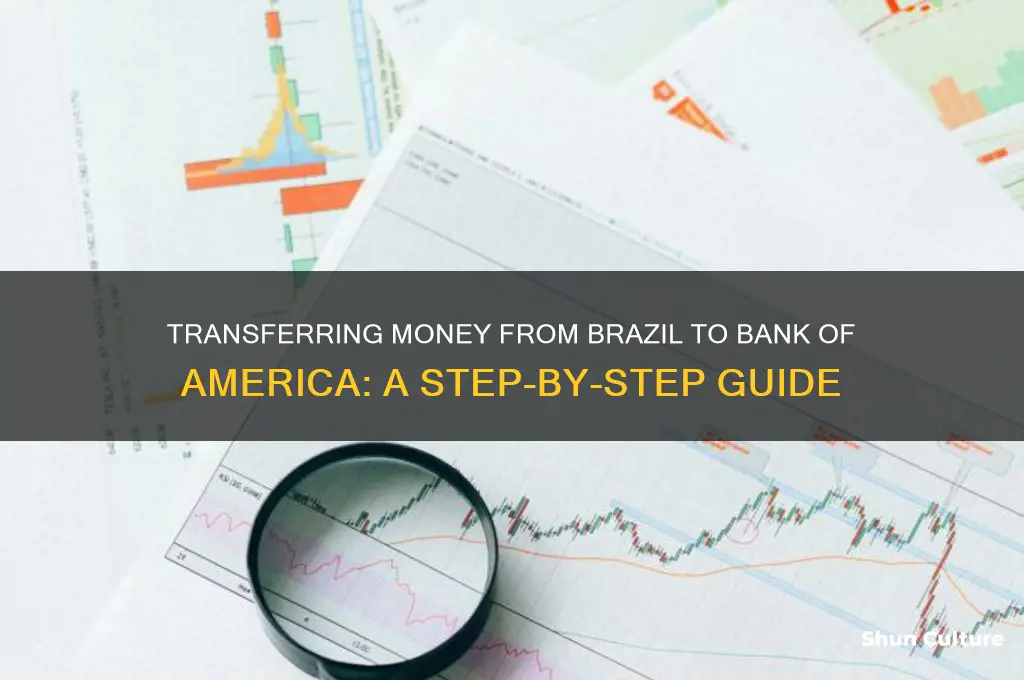 how to transfer money from brazil to bank of america