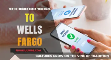 Transferring Money from Brazil to Wells Fargo: A Step-by-Step Guide