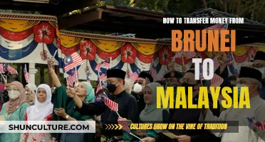 Transfer Money from Brunei to Malaysia: Easy, Quick Guide