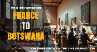 Efficient Money Transfers: France to Botswana Made Simple and Secure