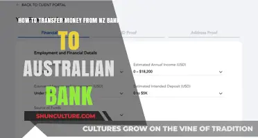 Transferring Money Between NZ and Australian Banks