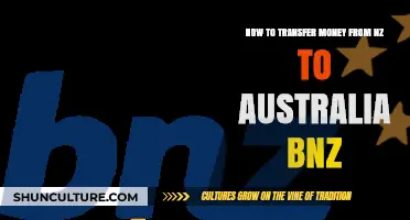 Transferring Money from NZ to Australia: A BNZ Guide
