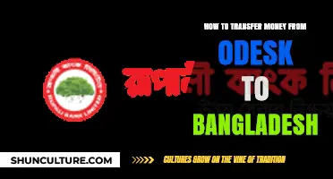 Transferring Odesk Earnings to Bangladesh: A Step-by-Step Guide