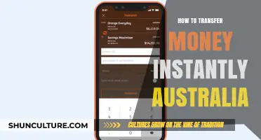 Instant Money Transfers: Australia's Quickest Options