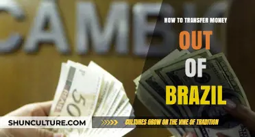 Efficient Strategies for Transferring Money Out of Brazil Legally