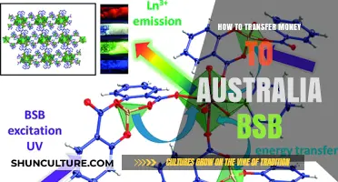 Transferring Money to Australia: Understanding the BSB System