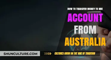 Transferring Money to an NRE Account from Australia