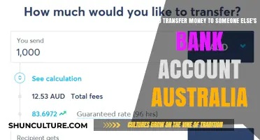 Transferring Money to Others in Australia: A Simple Guide