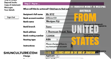 Transferring Money to Westpac Australia from the US