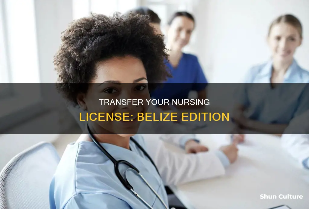 how to transfer nursing license to belize