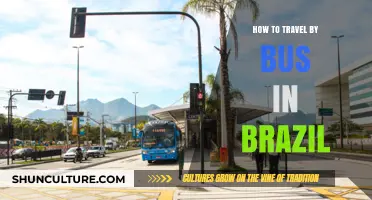 Mastering Brazil's Bus Travel: Tips, Routes, and Essential Insights