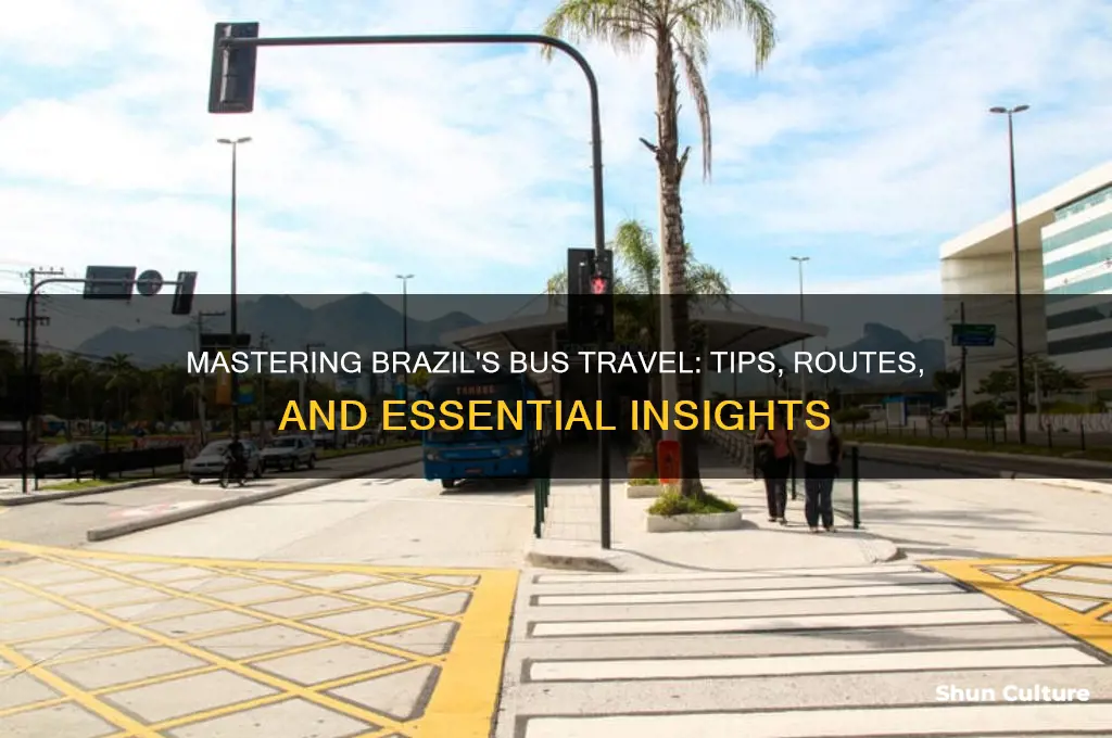 how to travel by bus in brazil