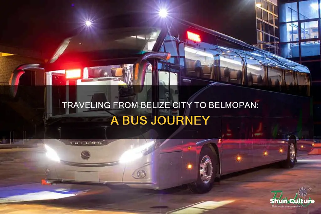 how to travel from belize city to belmopan by bus