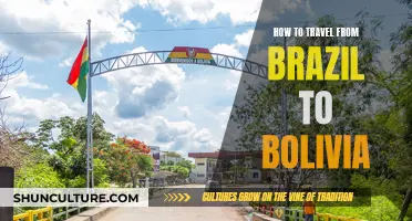 Travel Guide: Brazil to Bolivia