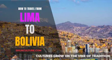 Travel Guide: Lima to Bolivia