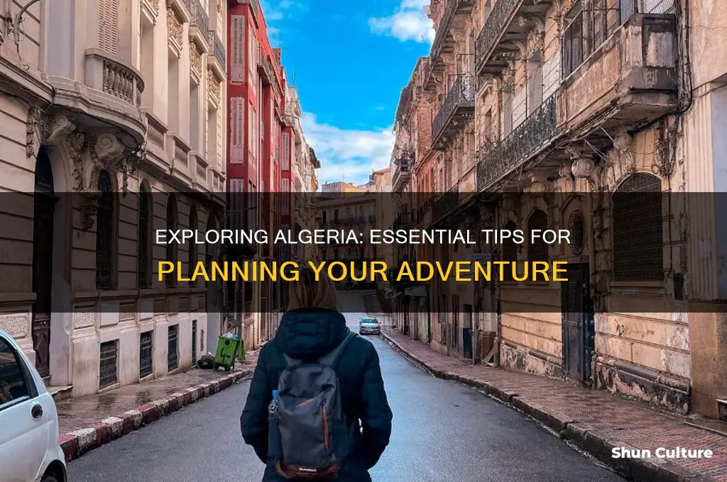 how to travel to algeria