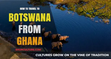 Traveling from Ghana to Botswana: A Comprehensive Guide for Adventurers