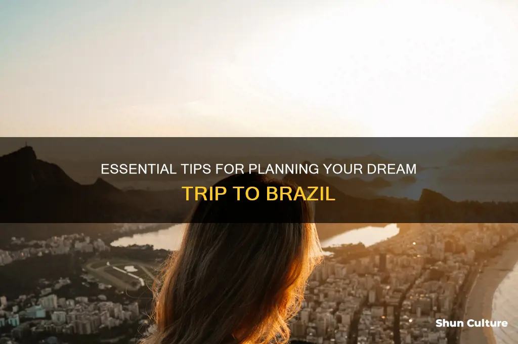 how to travel to brazil