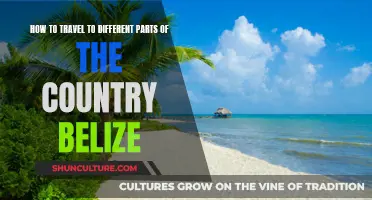 Exploring Belize: A Comprehensive Travel Guide