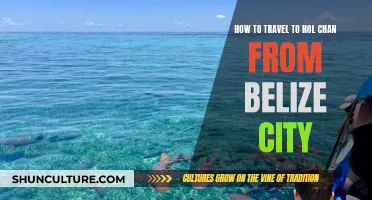 Exploring Hol Chan: Travel Guide from Belize City