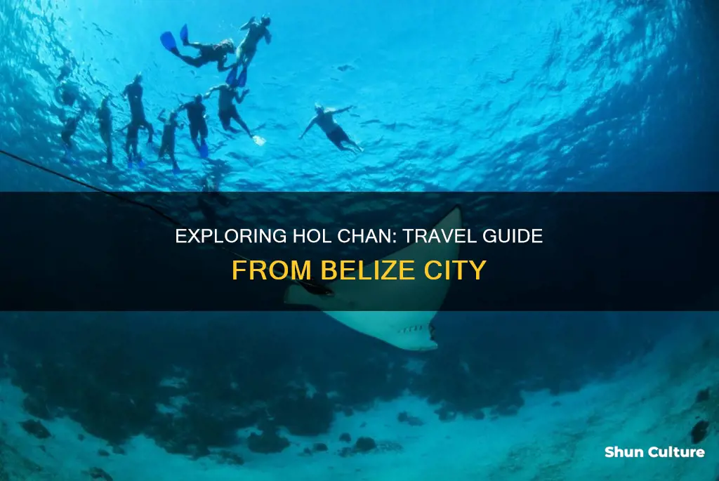 how to travel to hol chan from belize city