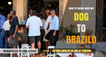 Traveling to Brazil with Your Dog: Essential Tips and Guide