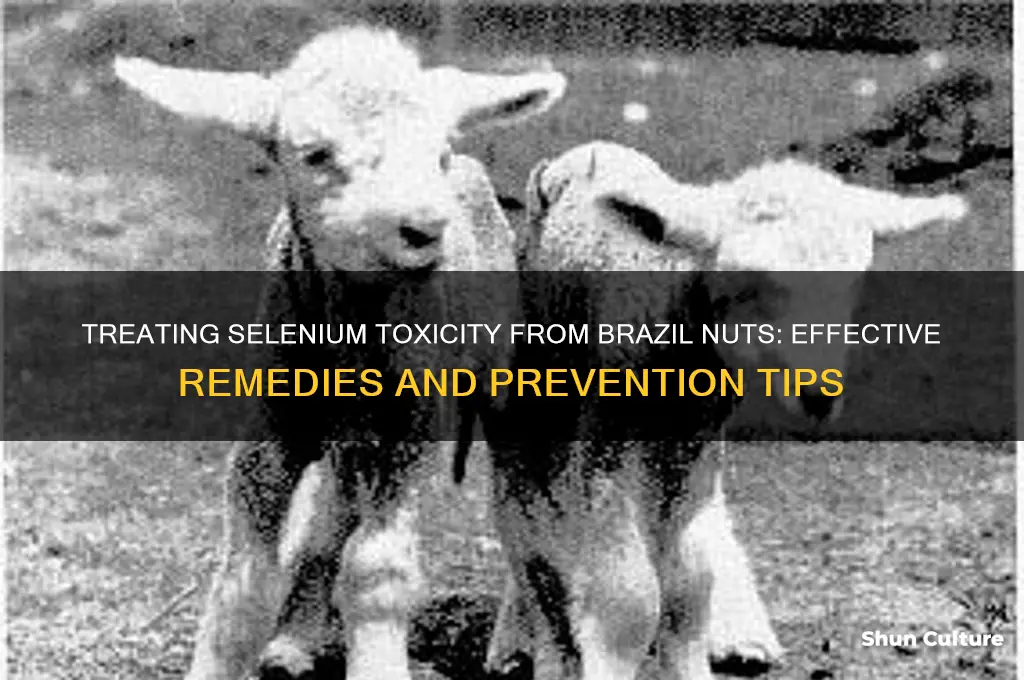 how to treat selenium toxicity from brazil nuts