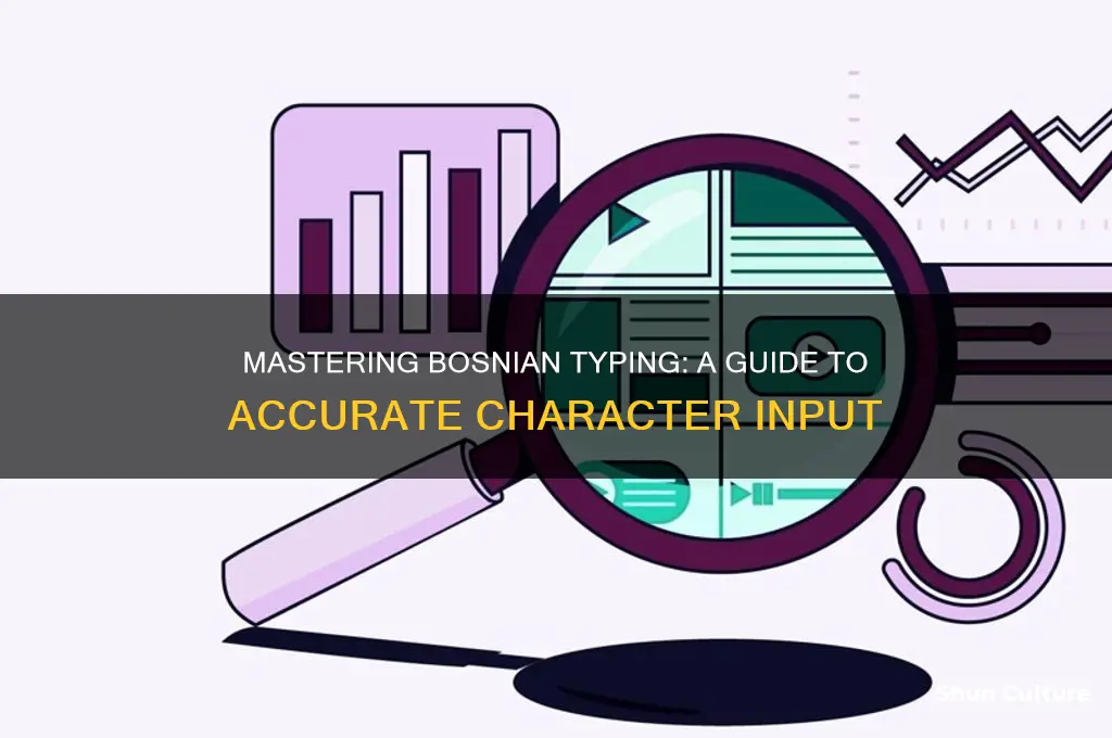 how to type bosnian characters
